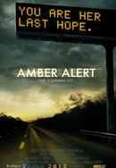 Amber Alert Poster 6