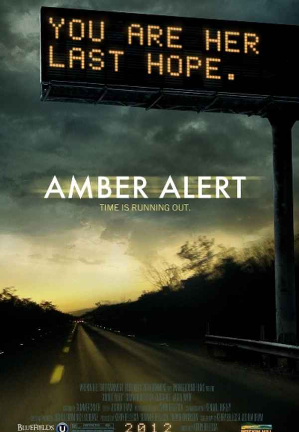Amber Alert Poster 6