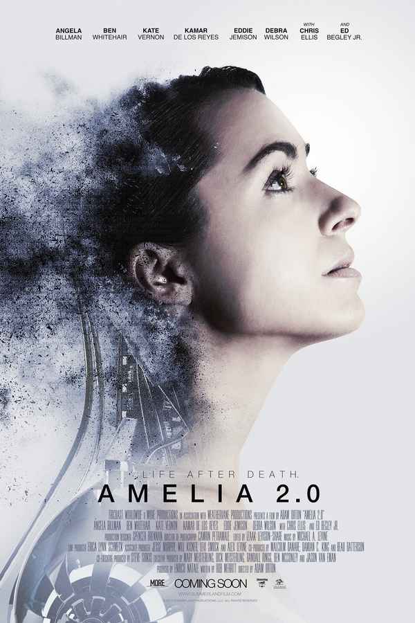 Amelia 2.0 Poster 6