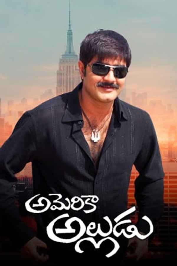 America Alludu Poster 3