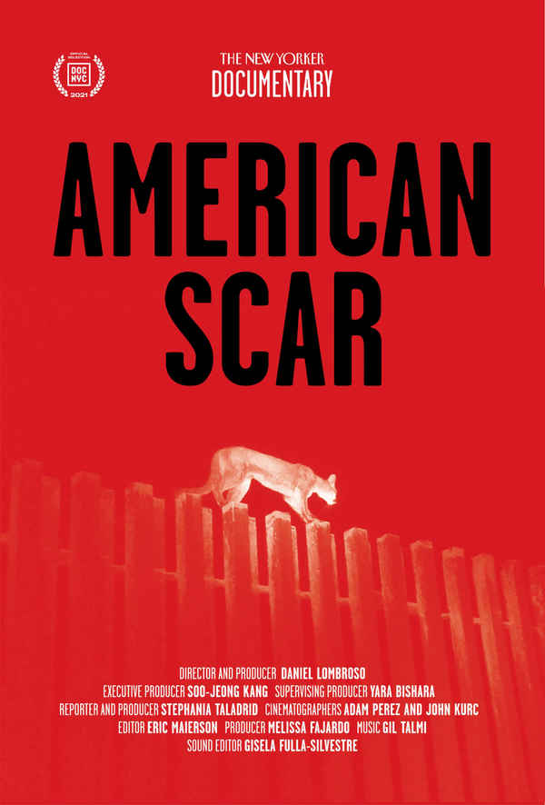 American Scar Poster 1