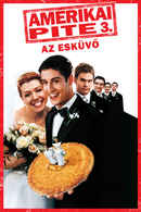 American Wedding Poster 6