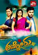 Ammanoru Poster 4