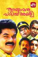 Ammavanu Pattiya Amali Poster 3