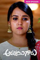 Ammayi Garu Poster 4