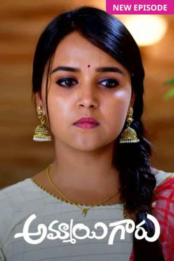 Ammayi Garu Poster 4