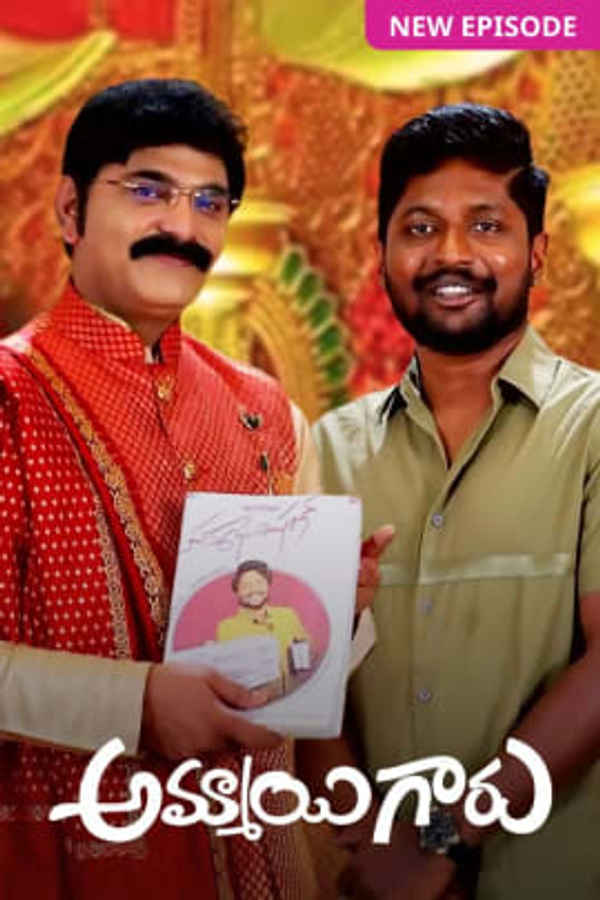 Ammayi Garu Poster 5