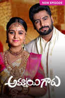 Ammayi Garu Poster 6