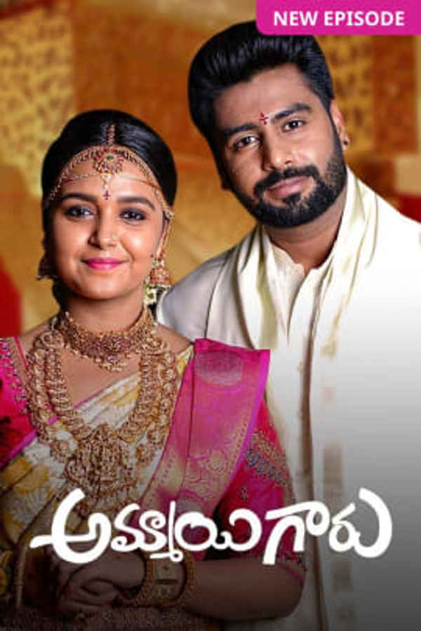 Ammayi Garu Poster 6