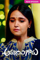 Ammayi Garu Poster 7