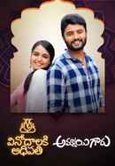 Ammayi Garu Poster 1