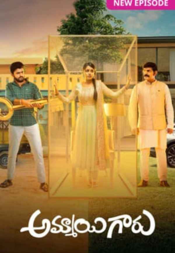 Ammayi Garu Poster 3