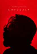 Amygdala Poster 4