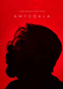 Amygdala Poster 1