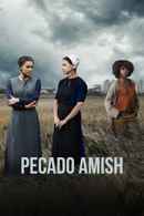 An Amish Sin Poster 2