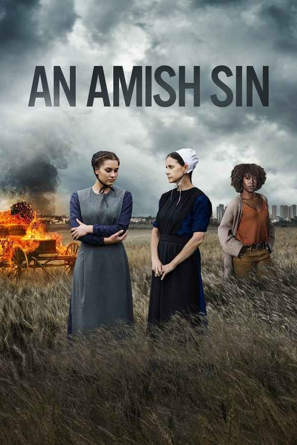 An Amish Sin Poster 3
