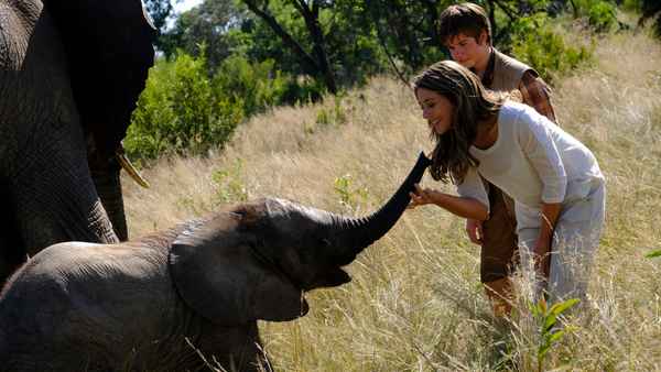 An Elephant's Journey Poster 3