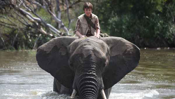 An Elephant's Journey Poster 4