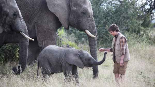 An Elephant's Journey Poster 6