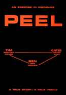 An Exercise in Discipline - Peel Poster 7