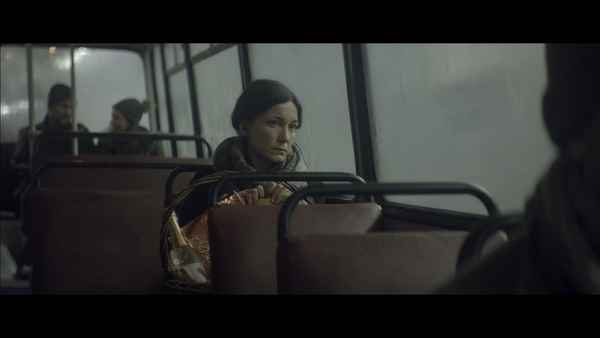 Anatolian Leopard Poster 4