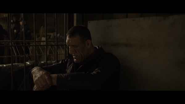 Anatolian Leopard Poster 5