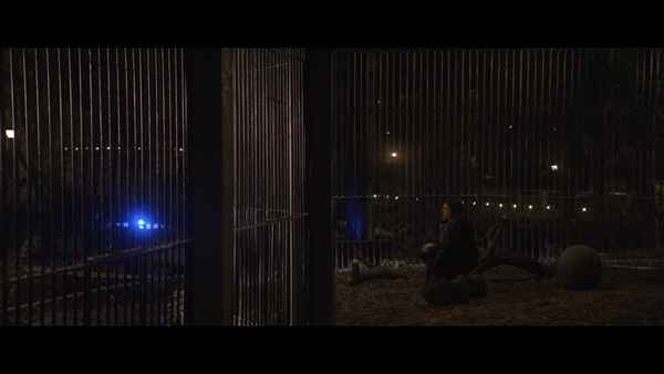 Anatolian Leopard Poster 6