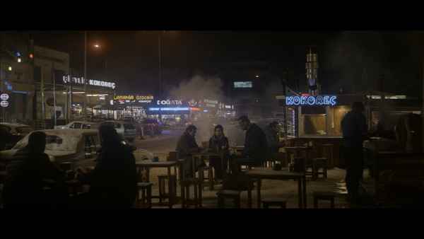 Anatolian Leopard Poster 3