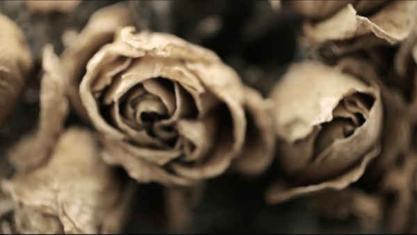 And Sometimes She Loved Me Too Poster 3