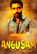 Angusam Poster 4