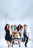 Animal Practice Poster 5