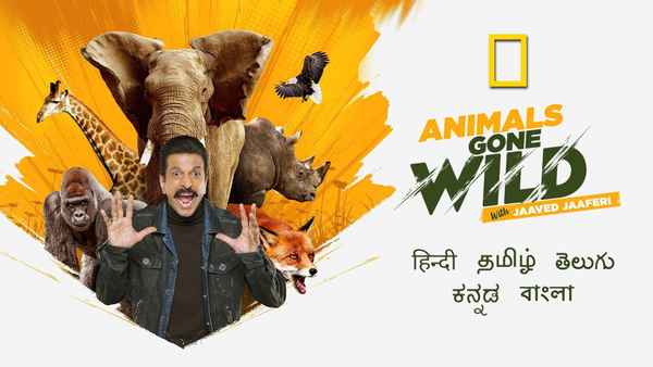 Animals Gone Wild Poster 1