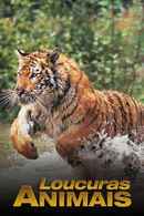 Animals Gone Wild Poster 5