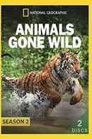 Animals Gone Wild Poster 4