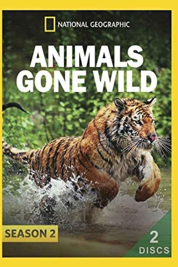 Animals Gone Wild Poster 4