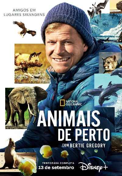 Animals Up Close with Bertie Gregory