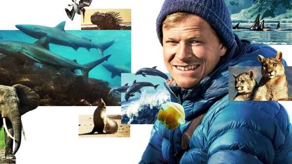 Animals Up Close with Bertie Gregory Poster 4