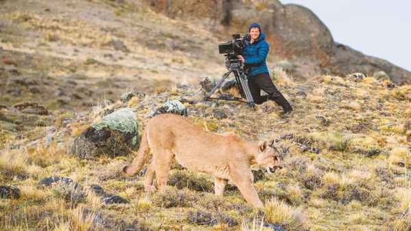 Animals Up Close with Bertie Gregory Poster 6