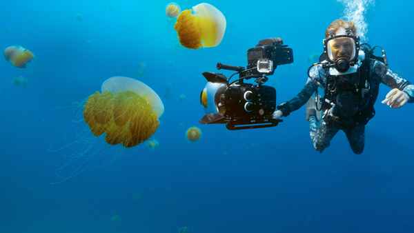 Animals Up Close with Bertie Gregory Poster 7