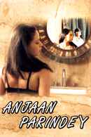 Anjaan Parindey Poster 5