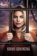 Anniversary Nightmare Poster 1