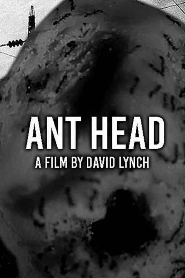 Ant Head Poster 6