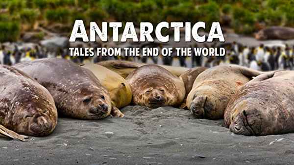 ANTARCTICA - TALES FROM THE END OF THE WORLD Poster 2