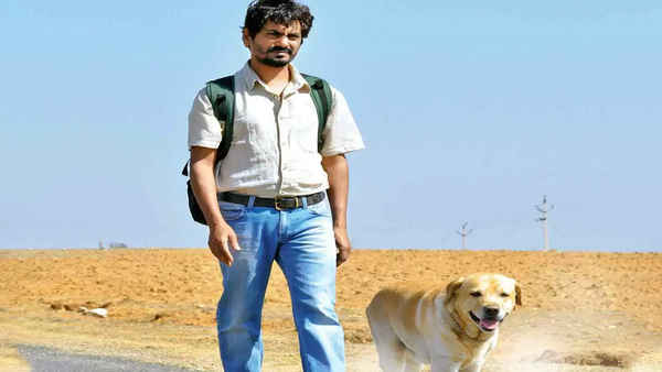 Anwar Ka Ajab Kissa Poster 7