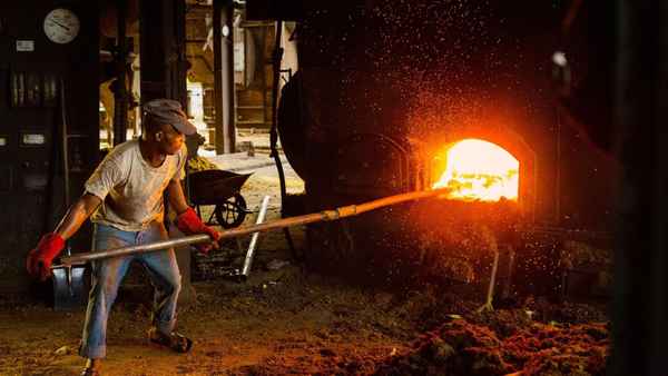 Appetite for Destruction: The Palm Oil Diaries Poster 1