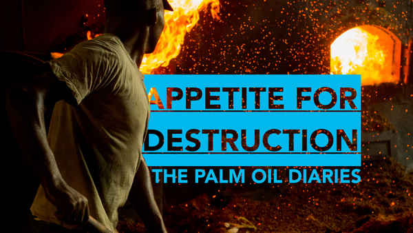 Appetite for Destruction: The Palm Oil Diaries Poster 3