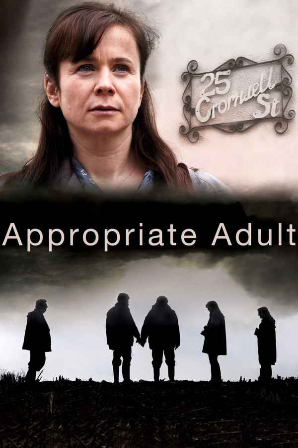 Appropriate Adult Poster 1
