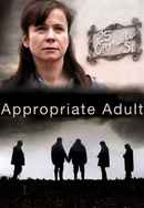 Appropriate Adult Poster 5