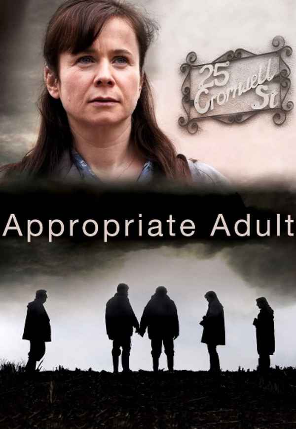 Appropriate Adult Poster 5