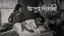 Apur Panchali (অপুর পাঁচালী) Poster 1